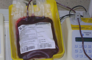 Hemocentro estadual precisa de sangue de todos os tipos | Foto: FEPPS / OA