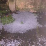 granizo-temporal-alvorada-rs-13-07-16-7