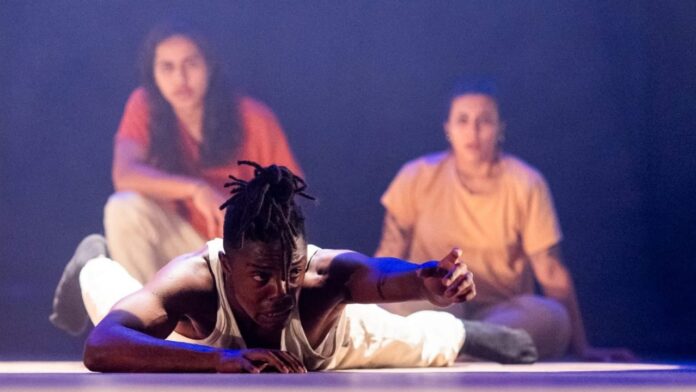 WhatsApp Image 2026-03-08 at 11.33.46