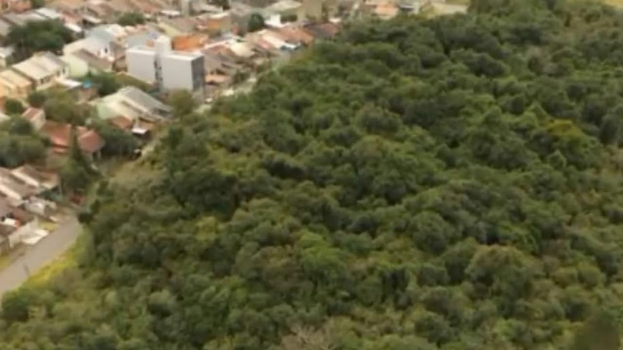 Liminar barra Leilão de área ambiental do Parque da solidariedade em Alvorada