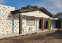 Programa contra esporotricose atende mais de 100 gatos em Alvorada