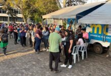 Castração gratuita atende cães e gatos em Alvorada